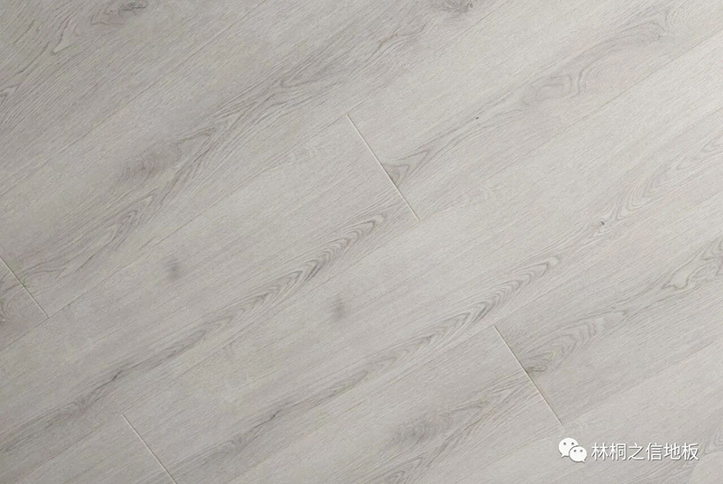 微信图片_2026-06-02_142312_538.jpg